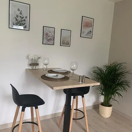 Apartamento 30m2 - Au Pied De La Gare - Parking